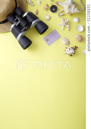 Flat lay summer vacation concept 51158351