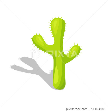 Mexican Cactus with Spikes, Isolated Desert Plant 51163486