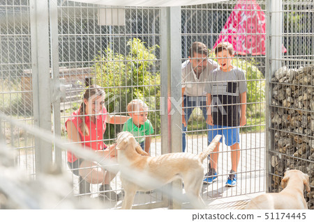 Family getting to know dogs in animal shelter 51174445