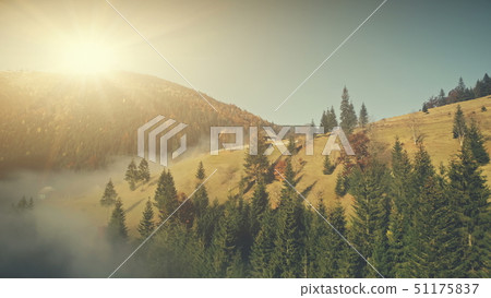 Sunny wildlife highland misty slope aerial view 51175837