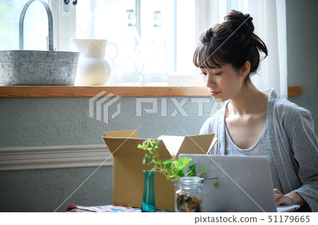 Woman lifestyle internet shopping personal computer 51179665