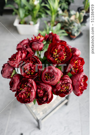 Red peonies in a metal vase. Beautiful peony flower for catalog or online store. Floral shop concept Red peonies in a metal vase. Beautiful peony flower for catalog or online store. Floral shop concept 51186459