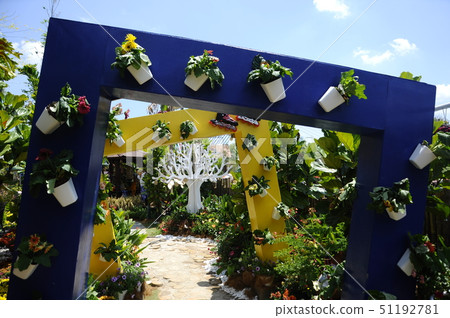 Small pocket garden made from recycle material 51192781