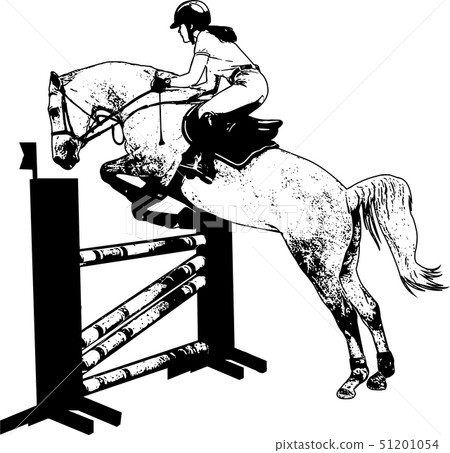 jumping show. horse with jockey jumping a hurdle 51201054