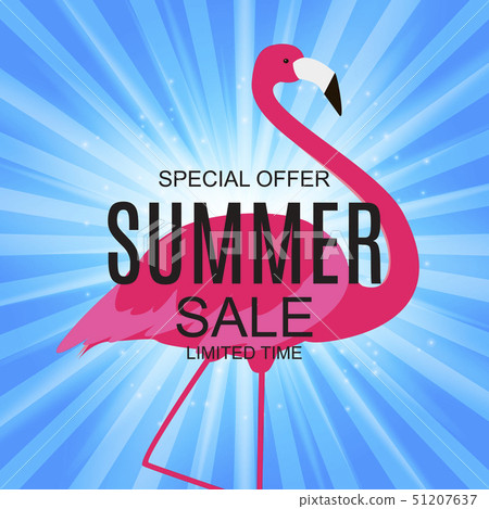 Summer Sale concept with Colorful Cartoon Pink Summer Sale concept with Colorful Cartoon Pink 51207637