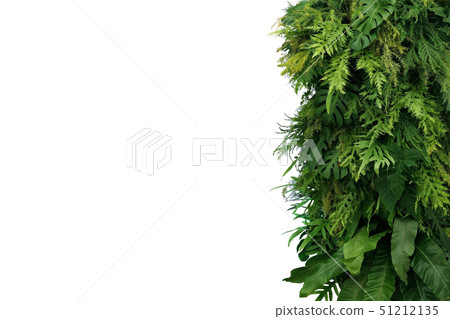 Tropical leaves foliage plant bush, vertical green Tropical leaves foliage plant bush, vertical green 51212135