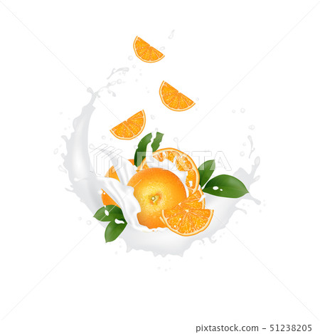 Fresh 3d realistic orange slices with juice milk Fresh 3d realistic orange slices with juice milk 51238205