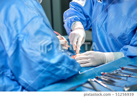 Surgeon and his assistant performing cosmetic surgery on nose in hospital operating room. Nose Surgeon and his assistant performing cosmetic surgery on nose in hospital operating room. Nose 51256939