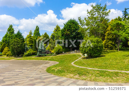Musashinonomori公園在主門附近的針葉樹花園 Musashinonomori公園在主門附近的針葉樹花園 51259371