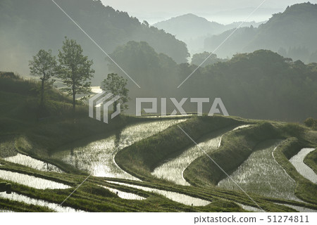 Oyama Senmaida In The Morning Kamogawa City Stock Photo