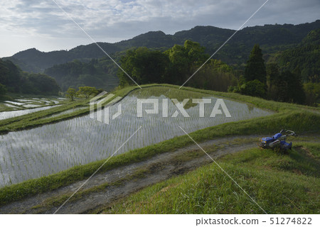 Oyama Senmaida In The Morning Kamogawa City Stock Photo