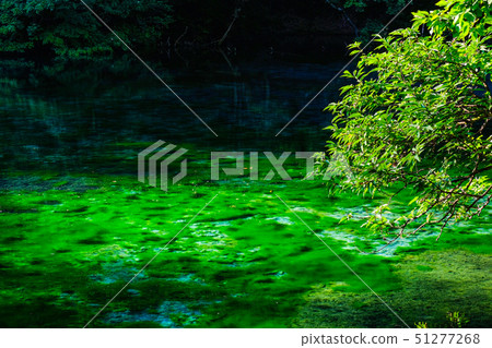 Ryugakubo (Ryugakubo) Ryugakubo (Ryugakubo) 51277268