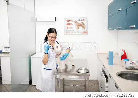 Vet smiling while feeding white dog standing on metal table 51285725
