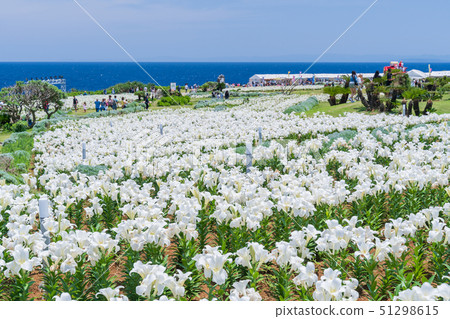 即島嶼百合節 即島嶼百合節 51298615