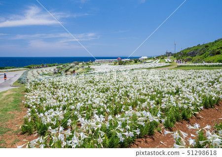 即島嶼百合節 51298618