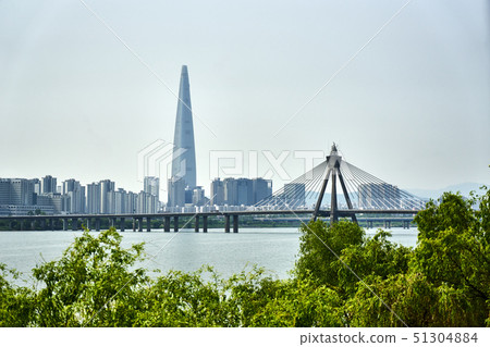 Wang Sook-cheon和銅漢江公園的油菜花節 Wang Sook-cheon和銅漢江公園的油菜花節 51304884