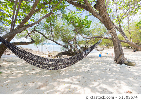 A swing on the beach at samet island in Thailand. A swing on the beach at samet island in Thailand. 51305674