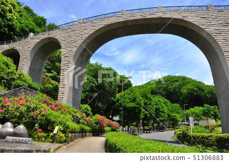 神奈川縣立Nanasawa森林公園落戶森林和新鮮的綠色 神奈川縣立Nanasawa森林公園落戶森林和新鮮的綠色 51306883