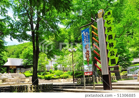 神奈川縣立Nanasawa森林公園中央入口附近的新鮮綠色 神奈川縣立Nanasawa森林公園中央入口附近的新鮮綠色 51306885