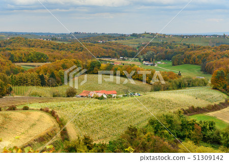 Beautiful vineyards landscape of Jeruzalem Beautiful vineyards landscape of Jeruzalem 51309142
