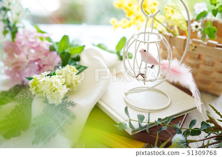 Little bird's table photo Little bird's table photo 51309768