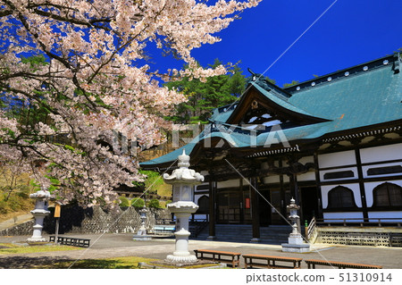 Fukuizumi寺在春天 Fukuizumi寺在春天 51310914