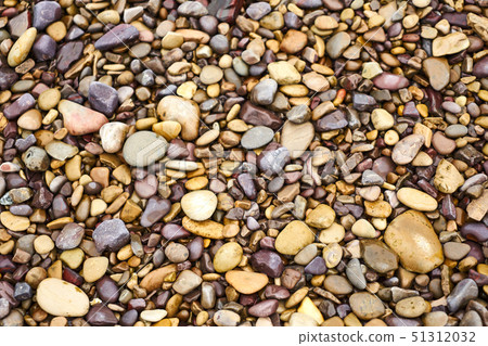 In late spring 2019, walking along the beach in Gogunsan-gun, Gunsan 51312032