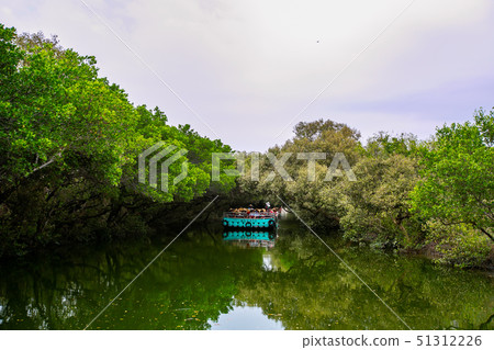 臺灣臺南四草綠色隧道Tainan River, Asia, Taiwan 51312226
