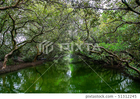 Taiwan Tainan Four Grass Green Tunnel Tainan River, Asia, Taiwan 51312245