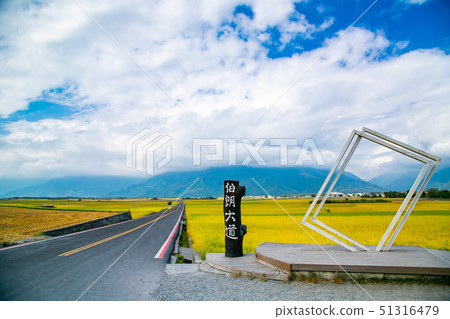 台灣臺東池上伯朗大道Asia,Taiwan, Taitung countryside scenery 51316479