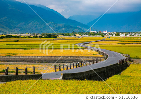 台灣臺東池上伯朗大道Asia,Taiwan, Taitung countryside scenery 51316530