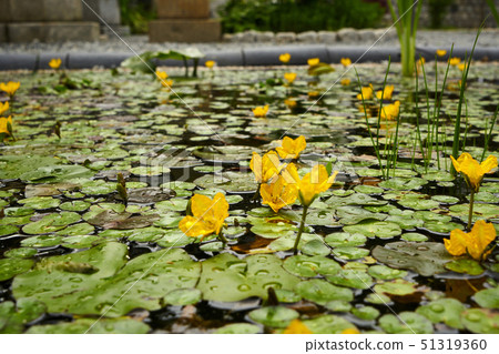 Gunsan time travel village to look back at the facilities during the Japanese colonial period and to remember the past 51319360