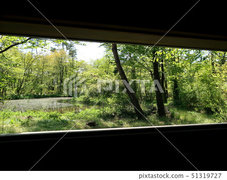 從一個觀鳥小屋的窗口 51319727