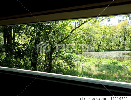 From the window of a bird watching hut 51319731