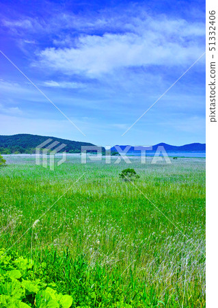 Kushiro City, Hokkaido, Lake Kushiro and Kushiro Wetland in early summer Kushiro City, Hokkaido, Lake Kushiro and Kushiro Wetland in early summer 51332406