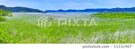 Kushiro City, Hokkaido, Lake Kushiro and Kushiro Wetland in early summer 51332407