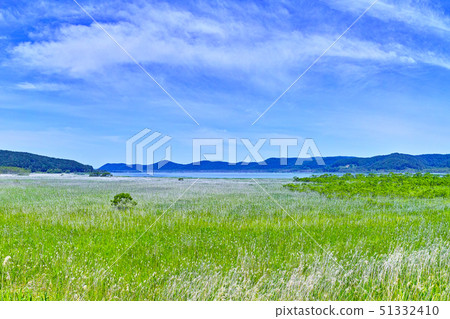 Kushiro City, Hokkaido, Lake Kushiro and Kushiro Wetland in early summer Kushiro City, Hokkaido, Lake Kushiro and Kushiro Wetland in early summer 51332410