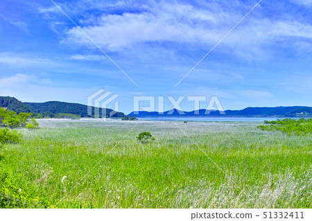 Kushiro City, Hokkaido, Lake Kushiro and Kushiro Wetland in early summer Kushiro City, Hokkaido, Lake Kushiro and Kushiro Wetland in early summer 51332411