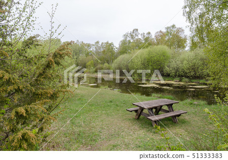 Resting place with furniture in a forest glade by 51333383