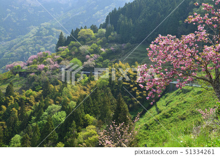 Misakura no Sato 2 (Koto Prefecture Otoyo Town Iwahara) Misakura no Sato 2 (Koto Prefecture Otoyo Town Iwahara) 51334261