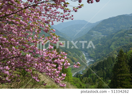 Misakura no Sato 3 (Otoyo-cho, Kochi Prefecture) Misakura no Sato 3 (Otoyo-cho, Kochi Prefecture) 51334262