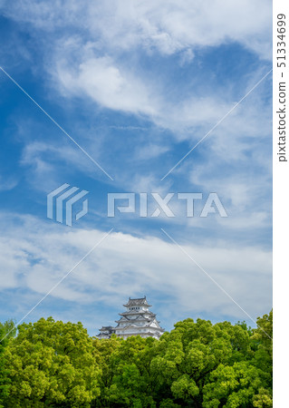 A fresh green Himeji castle 51334699