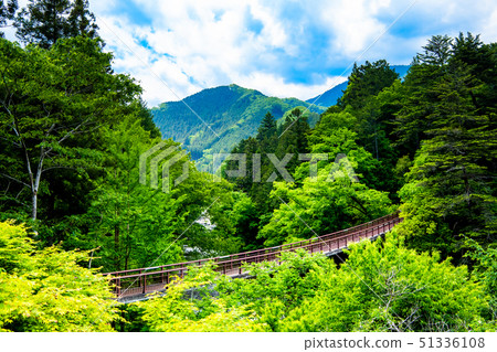 東京新鮮的綠色Akikawa谷Ishibuchi橋樑 東京新鮮的綠色Akikawa谷Ishibuchi橋樑 51336108