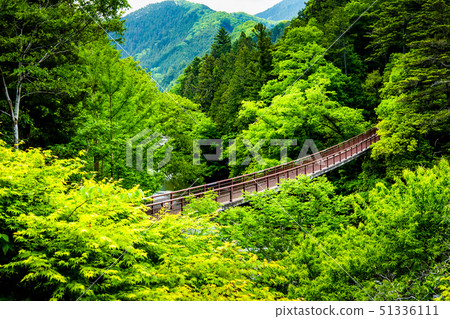 東京新鮮的綠色Akikawa谷Ishibuchi橋樑 東京新鮮的綠色Akikawa谷Ishibuchi橋樑 51336111