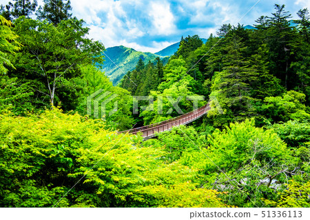 Tokyo fresh green Akikawa valley Ishibuchi Bridge 51336113