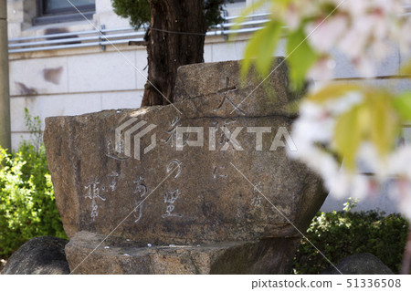 “佐藤花的紀念碑” 51336508
