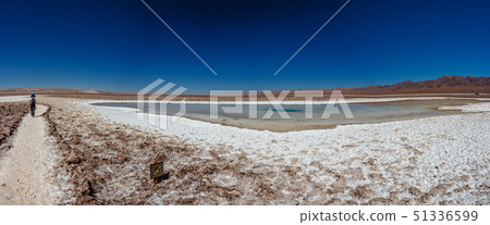 Rear view of tourist walking along Baltinache salar and hidden lagoons Rear view of tourist walking along Baltinache salar and hidden lagoons 51336599