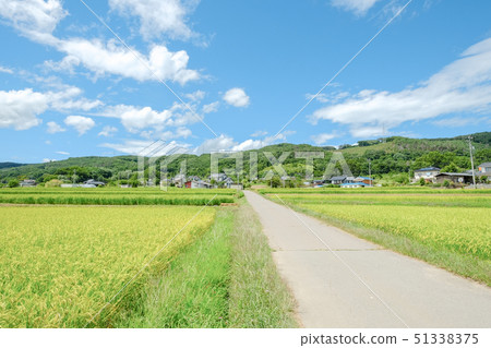 Summer rural landscape (August) - Stock Photo [51338375] - PIXTA