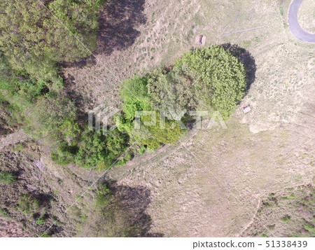 Pasture between mountains-aerial view with drone (Ichizawa, Ogano-machi, Chichibu-gun, Saitama Prefecture) 51338439