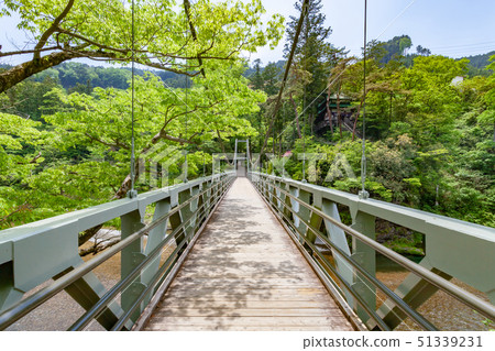 青梅市Sawai Tsubakibashi 51339231